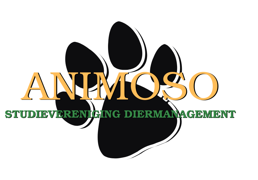 Animoso